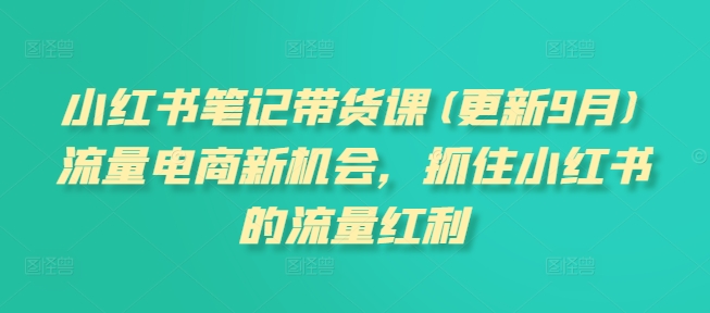 小红书笔记带货课(更新11月)流量电商新机会，抓住小红书的流量红利-慕云辰风博客