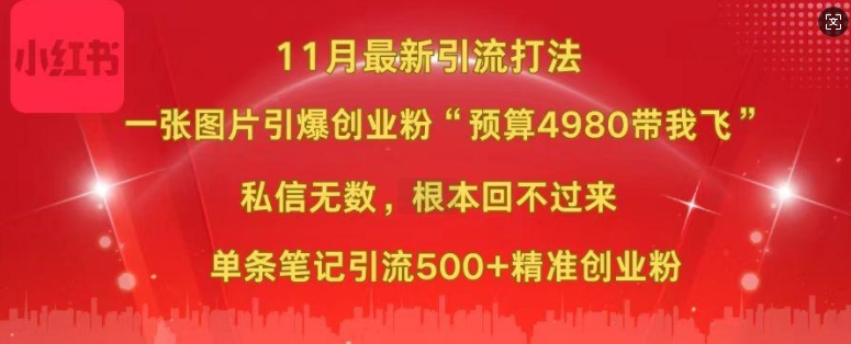 小红书11月最新图片打粉，一张图片引爆创业粉，“预算4980带我飞”，单条引流500+精准创业粉-慕云辰风博客