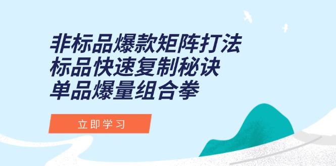 （15068期）非标品爆款矩阵打法，标品快速复制秘诀，单品爆量组合拳-辰风资源站