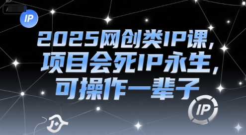 2025网创类IP课，项目会死IP永生，可操作一辈子-辰风资源站