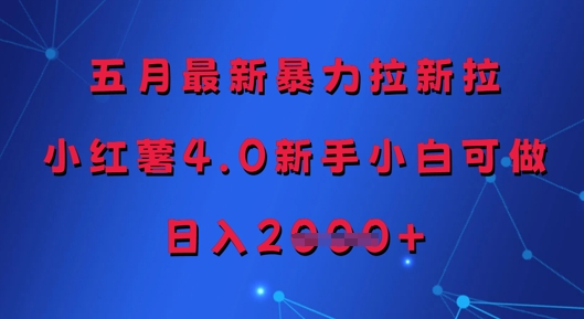 五月最新暴力拉新拉，小红薯4.0新手小白可做，日入多张-辰风资源站