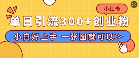 小红书单日引流300+创业粉，“简单粗暴”引流法，小白好上手，私信回不完-慕云辰风博客