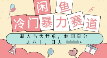 闲鱼冷门暴力赛道，新人当天开单，门槛低，日入多张-辰风资源站