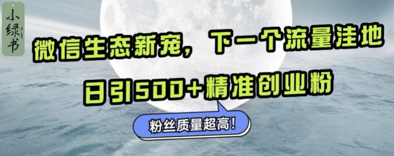 微信生态新宠小绿书：下一个流量洼地，日引500+精准创业粉，粉丝质量超高-慕云辰风博客