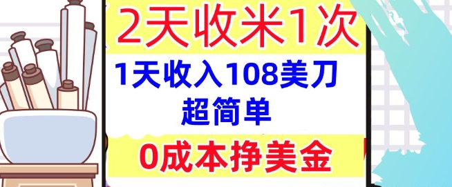 0成本挣美金，超简单，1天收入108刀，2天收米一次，实战教程，首次公开-辰风资源站