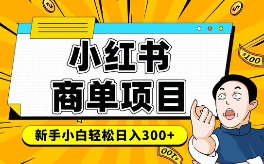 小红书千粉商单，稳定快速变现项目，实现月入6-8k并不是很难-辰风资源站