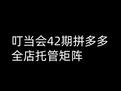 叮当会拼多多打爆班原创高阶技术第42期，拼多多全店托管矩阵-慕云辰风博客