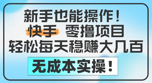 新手也能操作，快手零撸挣米，轻松每天挣2-5张，完全无成本-辰风资源站
