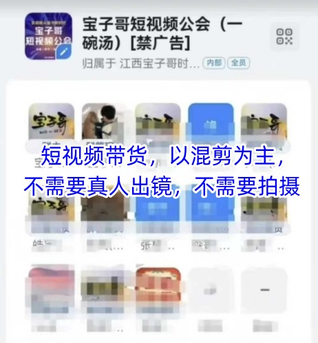 宝子哥头部团队短视频带货，以混剪为主，不需要真人出镜，不需要拍摄-辰风资源站