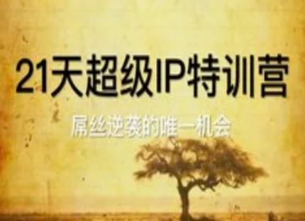21天超级IP特训营，屌丝逆袭的唯一机会-辰风资源站