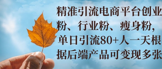 小投资撬动大收益，精准引流创业粉、行业粉，单日引流80+，一天可变现多张-慕云辰风博客